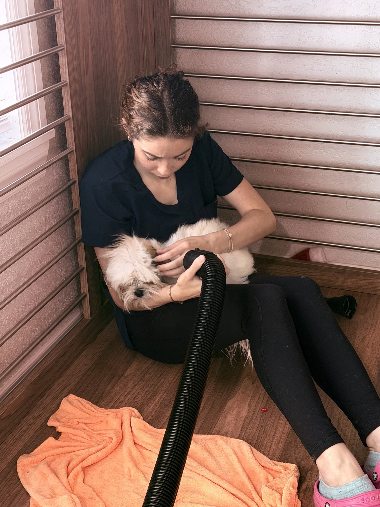 Abby with a client dog at the Palmola studio